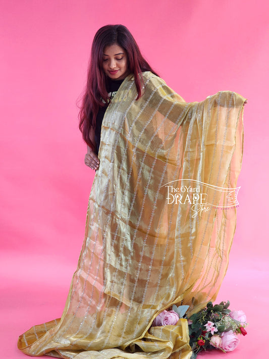 Silk Organza Saree