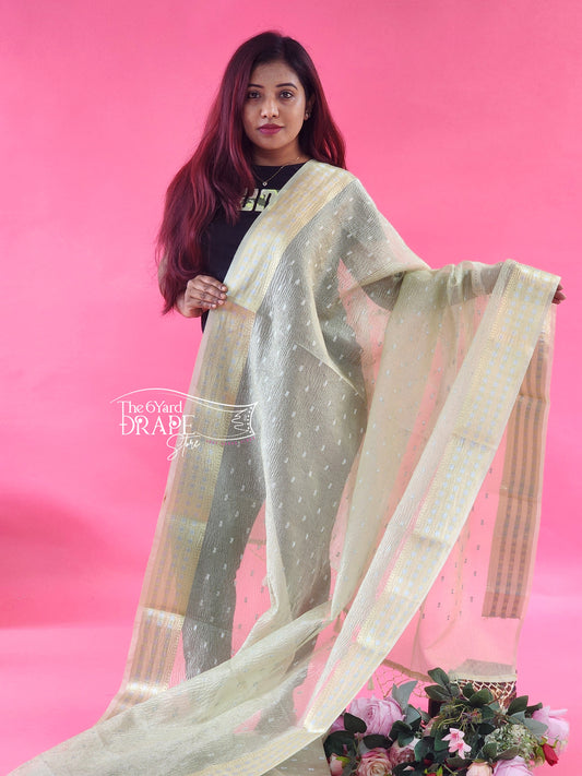 Crushed Butti Tissue Saree