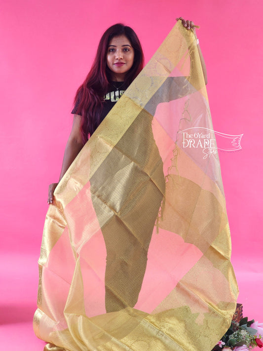 Gold Tissue Saree