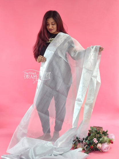 Silver tissue Saree